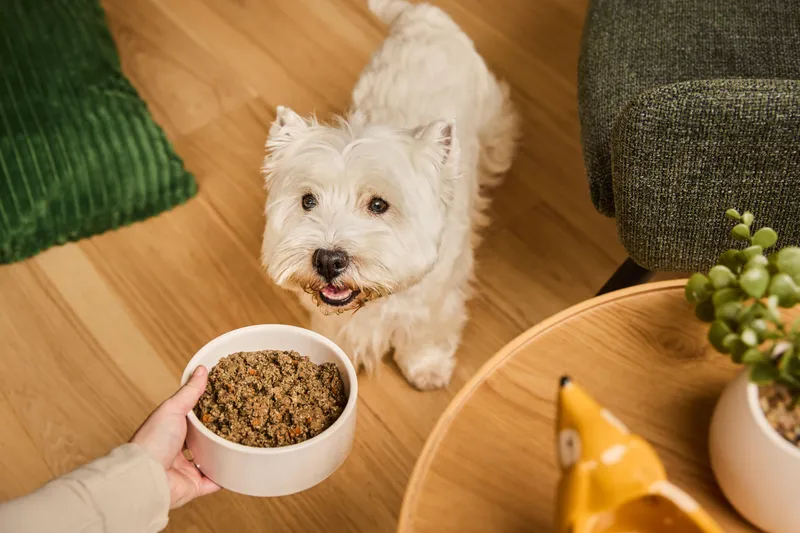 Pet Food Reviews