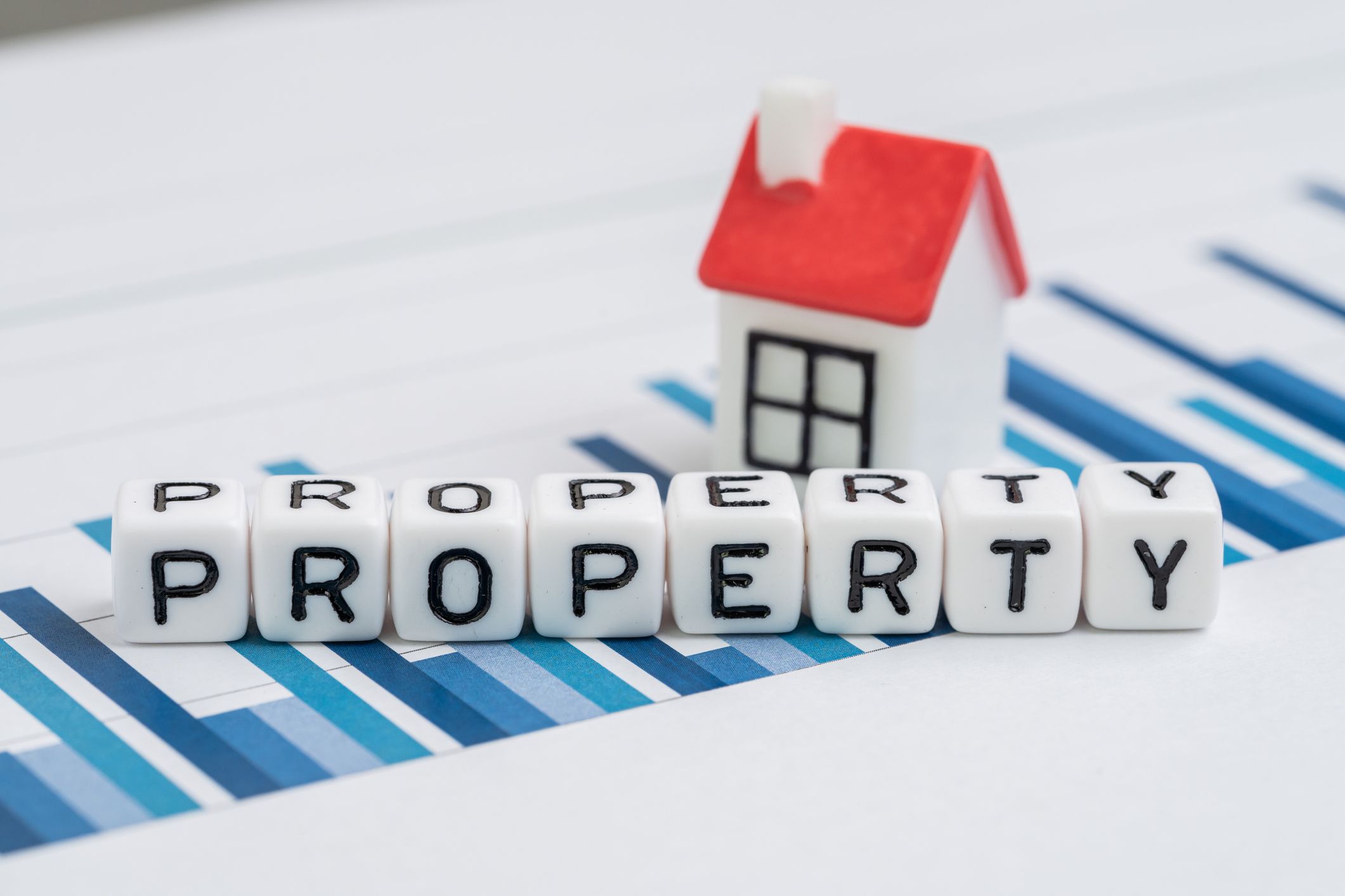 Real Estate Agent